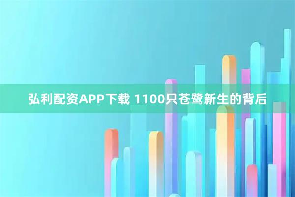 弘利配资APP下载 1100只苍鹭新生的背后