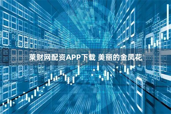 莱财网配资APP下载 美丽的金凤花