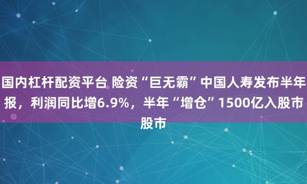 国内杠杆配资平台 险资“巨无霸”中国人寿发布半年报,利润同比增6.9%,半年“增仓”1500亿入股市