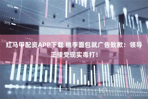 红马甲配资APP下载 桃李面包就广告致歉:领导正接受现实毒打!