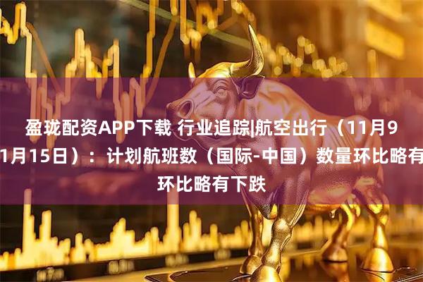 盈珑配资APP下载 行业追踪|航空出行(11月9日-11月15日):计划航班数(国际-中国)数量环比略有下跌